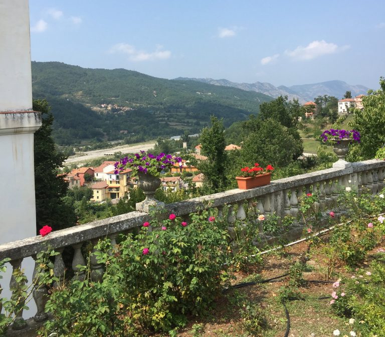 Northern Italian country side with flowers and the view of the mountains