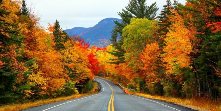 Road surrounded by fall leaves in bright red, yellow and green